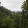 09 b Schluchensteig Etappe 4 - 6